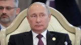 Владимир Путин посетит свадьбу главы МИД Австрии