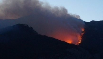 Площадь пожара в горах Крыма возросла до 80 га