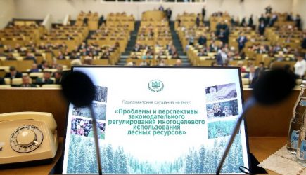 Госдума защитит российские леса