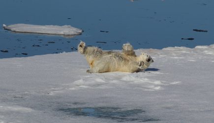 Арктика станет холодной версией Крыма