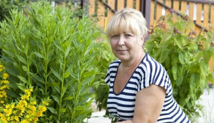 В «Единой России» успокоили дачников: налога на огород не будет