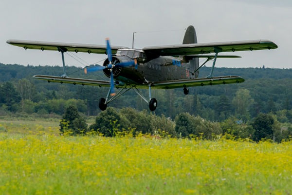 Ан область. АН-2 Васьково. Архангельский ан2. АН 2 Архангельск. Самолёт АН 2 В Архангельске.