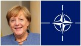 В Киеве считают, что Украина лишилась членства в НАТО из-за Меркель