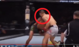 Родригес внес новый &laquo;золотой&raquo; удар в UFC FN 139, нокаутировав Чан Сун Чжуна на последней минуте