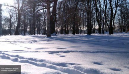 Ливень, град, сильный ветер: прогноз погоды