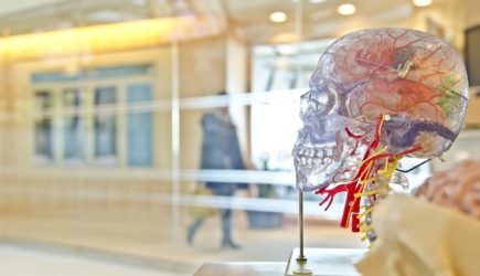 Ученые выяснили, как &laquo;отключить&raquo; эмоциональную реакцию на боль