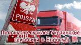 Поляки взбунтовались — &laquo;Хватит привозного де**ма из Украины и Бразилии&raquo;