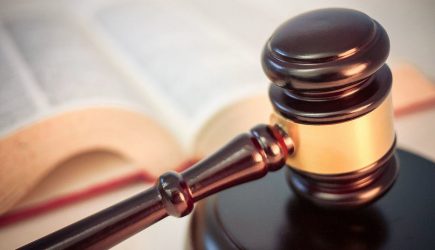 Мать найденной в Москве «девочки-маугли» взяли под стражу