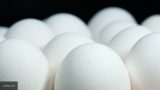 Ученые нашли связь между чрезмерным употреблением яиц и преждевременной смертью