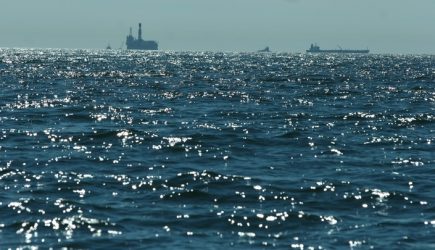 Неизвестное морское существо выбросило на берег Сахалина — фото