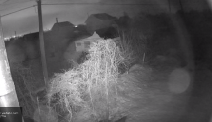 Опубликовано видео таинственной вспышки света над небом Самары