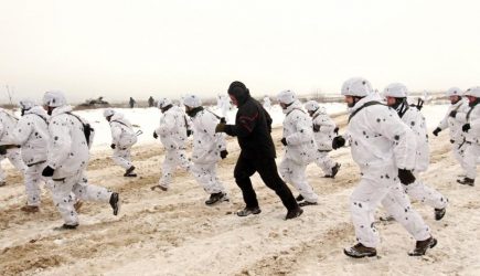 Провокация провалилась: как Украина пыталась отменить второй тур выборов