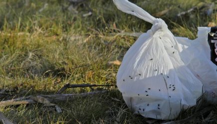 Россию за шесть лет хотят отучить от полиэтиленовых пакетов