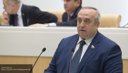Клинцевич назвал вмешательством в дела Украины передачу грамоты Петра I