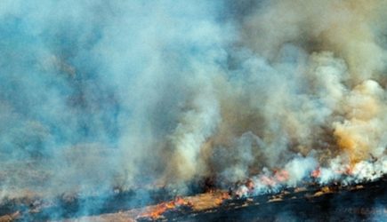 Забайкалье в огне. Уничтожены целые села, погибли сотни животных