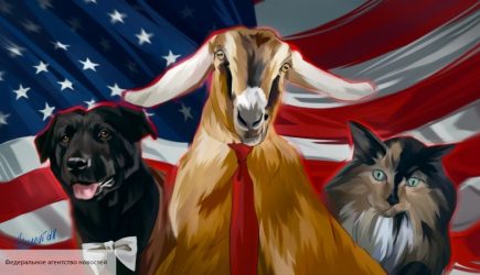 Дело о &laquo;российском вмешательстве&raquo; ознаменовало крах однополярного мира США