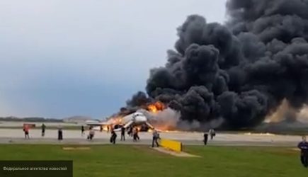 Пятеро жителей Подмосковья погибли в катастрофе в Шереметьево