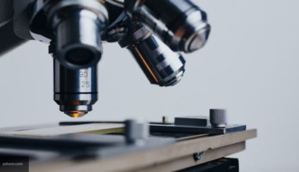 Ученые из России нашли способ борьбы с тромбами