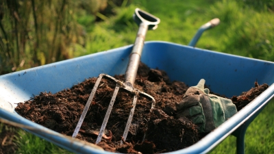 В США ничего святого: Трупы будут в грядках и парках