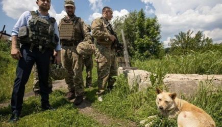 Ага, президент «мира». Зеленский попросил у США новые вооружения