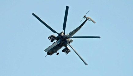 «Ночной охотник» напугал отдыхающих на пляже