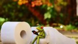 Туалетная бумага опасна для здоровья &#8212; медики