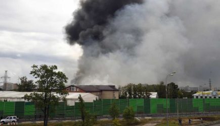 Выбегали босиком: как спасались от пожара шокированные жители Подмосковья