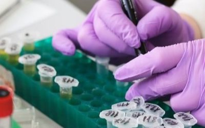 Самая устойчивая к раковым заболеваниям группа крови