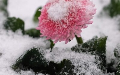 Названы регионы России, которые ждет июльский снег