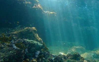 Затерянный мир обнаружен на дне Балтийского моря