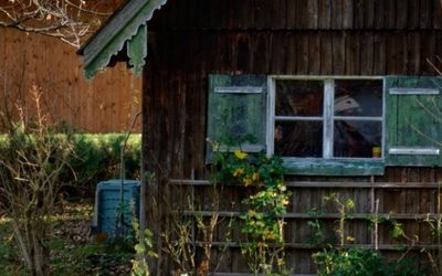 Власти обновили «дачную амнистию» для россиян