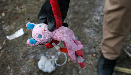 Нидерланды заговорили об осторожности в деле упавшего в Донбассе &laquo;Боинга&raquo;