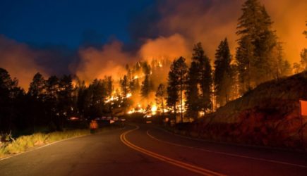 Пожары в Сибири: мы справимся сами
