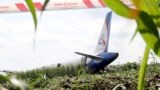 Как люди и нелюди отреагировали на жесткую посадку А321 в Подмосковье