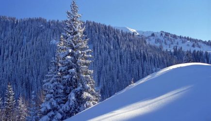 Лишнее тело: секретный кадр указал на причину гибели группы Дятлова