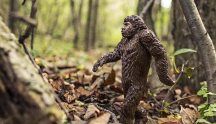 В Сибири поймали снежного человека