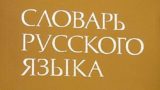 В Турции поразились длинным русским словам