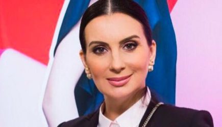 Стриженова жестко поставила на место «либерала» Амнуэля