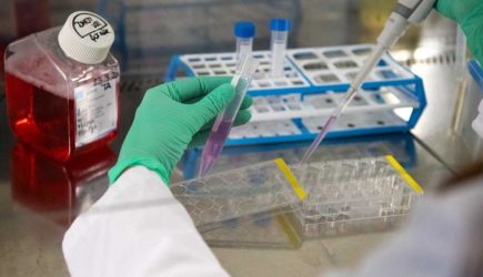 Коронавирус мог попасть в Китай из Сибири