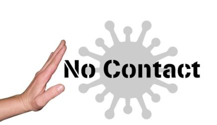 Хроника COVID-19 в России и способы противостояния распространению коронавируса в стране