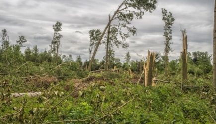 Началась ликвидация последствий разрушительного урагана в Чите