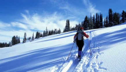 Тело туриста подменили: новая версия трагедии на перевале Дятлова