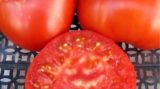 Неожиданная правда о помидорах: Откажитесь навсегда!