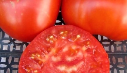 Неожиданная правда о помидорах: Откажитесь навсегда!