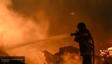 Четыре человека заживо сгорели в «двушке» на Выборгском шоссе в Петербурге