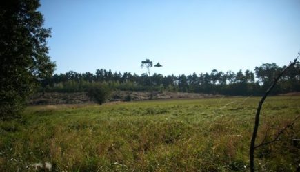 Впервые опубликована фотография НЛО в высоком качестве