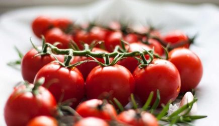 Богатый урожай: как правильно прикармливать томаты в июле