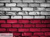 RCD: войска США поставили Польшу в неловкое положение перед Германией и Россией