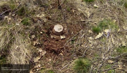 Автомобиль подорвался на противотанковой мине в Донбассе, три человека погибли