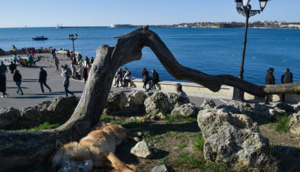 «Путин, остановись!»: Севастополец обратился к президенту России